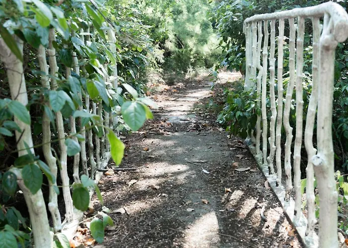 Chez Papy Charles Nyaraló *